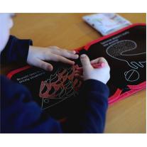 Jaq Jaq Bird: Книга- Динозаври за оцветяване с тебешир върху страници тип дъска