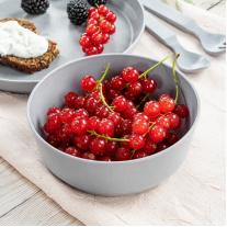 Reer Комплект от 2 купички, Синя/сива