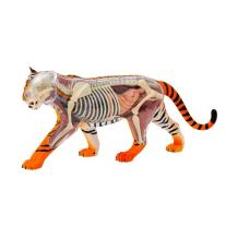 Thames & Kosmos - Конструирай анатомичен модел на тигър