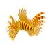 Thames & Kosmos - 3D пъзел на Риба лъв