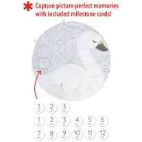 Skip Hop активна гимнастика-килимче Little Swan