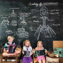 Jaq Jaq Bird: Блокче за рисуване с тебешири - Море 