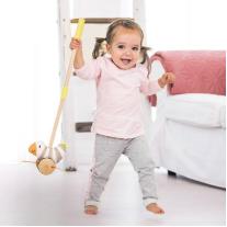 Играчка за бутане, Hape, Ходеща птица