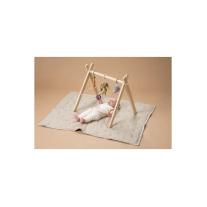 Комплект интерактивни плюшени играчки, Taf Toys, Джени, Спайк и Морковът, 3 броя