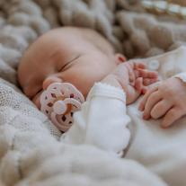 Залъгалки Bibs Boheme, Dusky/Lilac, 0-6 м