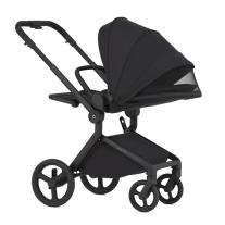 Бебешка количка 2 в1 Anex Flo цвят Lungo