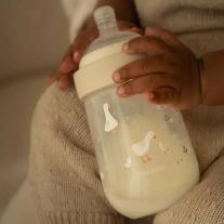 Сет Бебешки Бутилки Little Dutch Mio 4 части Little Goose