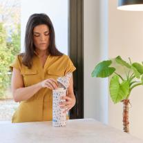 Термобокс Miniland 500 мл – Dreamland