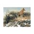 Cobble Hill Пъзел от 1000 части - Койот в зимната пустош, Робърт Бейтмън