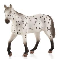 Жребец порода Апалуза Mojo ANIMAL PLANET