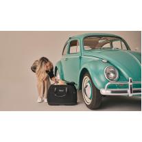 Стол за кола и транспортна чанта за котка и куче 2 в 1 TAVO Hendrick 