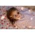 Детска Хавлиена Плажна Кърпа Little Dutch Sunny Flowers Multi Colour