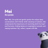 Термо бутилка Asobu® Bestie Mai the Panda