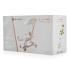 Тротинетка Byox Cornet 6в1 white