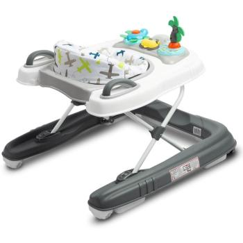 Бебешка проходилка 2 в 1 Caretero Toyz - Surf, Fly