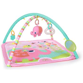 Активна гимнастика Bright Starts Fancy Flowers