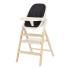 Детско столче за хранене Carrello Ergo Obsidian Black