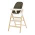 Детско столче за хранене Carrello Ergo Pine Green