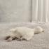 Играчка Mamas & Papas Tummy Time Duck Welcome To The World Duckling