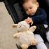 Музикална плюшена играчка Cloud B - Овцата On The Go