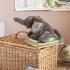 Плюшена играчка Moulin Roty, Слонче
