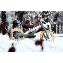 Trybike Винтидж Триколка, която се превръща в колело за баланс Зелена - Green Vintage