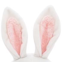 Orange toys МИНИ ЗАЕК (20 см)