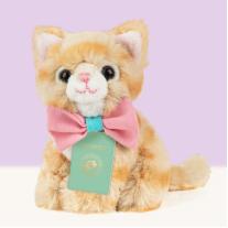 Плюшено коте с куфарче Studio Pets Томи