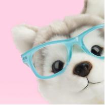 Плюшено куче Хъски Улфи 23 см Studio Pets