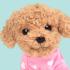 Плюшено куче Пудел Бисквитка 16 см Studio Pets