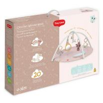 Активна гимнастика Tiny Love Developmental Gymini