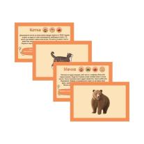 Cubos Образователни карти - Животни, 50 броя