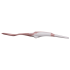 Лъжички за първоначално захранване EarthSmart Vital Baby 4М+