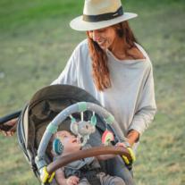 Арка с актиновсти Taf Toys - Коала