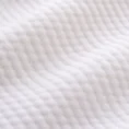 0443166_closeup