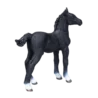 381000_Hanoverian_Foal_Black_2_500x500