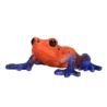 381016_Poison_Dart_Tree_Frog_5_500x500