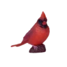381117_Red_Cardinal_3_1b320459-d3b7-414a-b05f-b05cb4ee6008_500x500