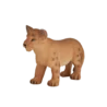 387011_Lion_Cub_Standing_3_500x500