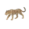387018_Leopard_2_500x500