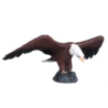 387027_American_Bald_Eagle_3_500x500