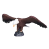 387027_American_Bald_Eagle_5_500x500