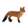 387028_Red_Fox_1_500x500