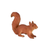 387032_Squirrel_running_2_500x500