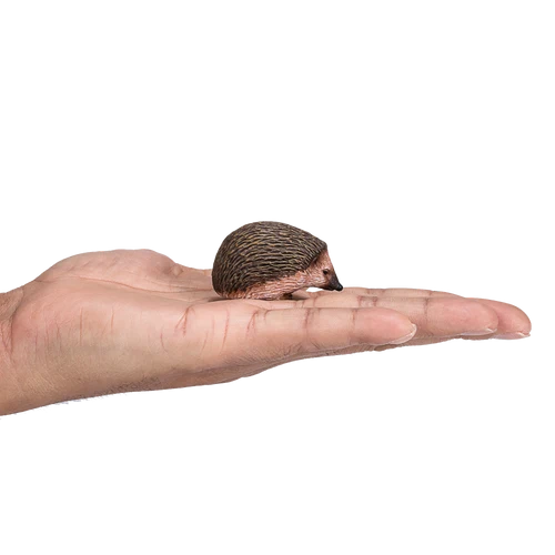 387035_Hedgehog_1_500x500 387035_Hedgehog_1_500x500