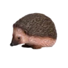 387035_Hedgehog_6_500x500
