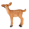 387036_White_Tailed_Deer_Fawn_2_500x500