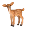 387036_White_Tailed_Deer_Fawn_4_500x500