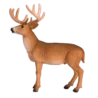 387038_White_Tailed_Deer_Buck_1_500x500