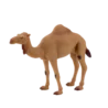 387113_Arabian_Camel_2_500x500